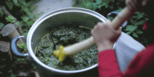 李子柒：油菜丰收季，用新榨的菜籽油做一桌香喷喷的风味小食134 / 作者:向向Angel / 帖子ID:273067
