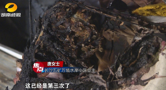 2020最气人新闻：疯狂夫妻一个动作3死4伤……真不知从何骂起691 / 作者:kevinbe888 / 帖子ID:273204