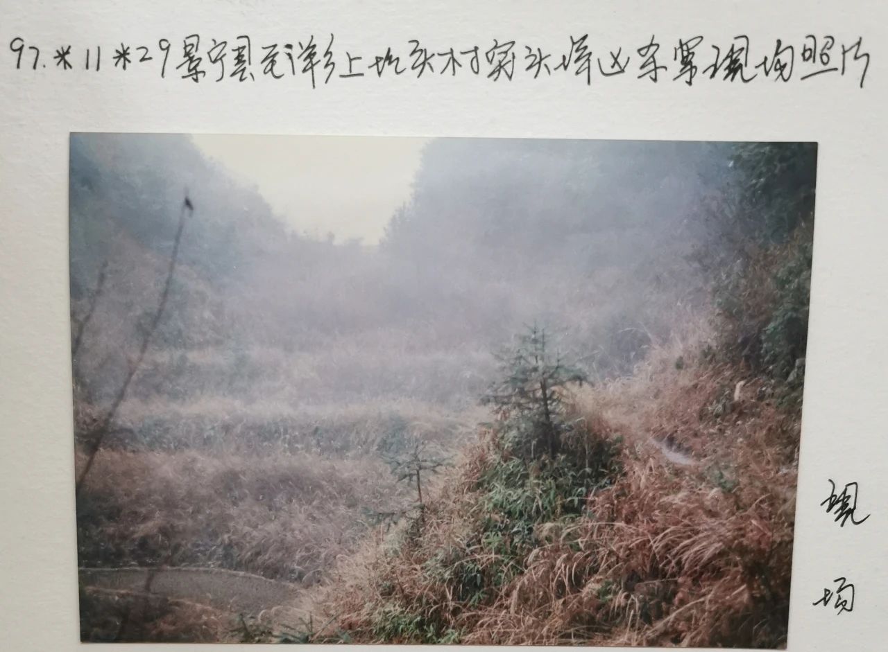 唏嘘 | 男子24年前残忍杀人埋尸，被抓时在桂林有房有车960 / 作者:分叉路口 / 帖子ID:273277