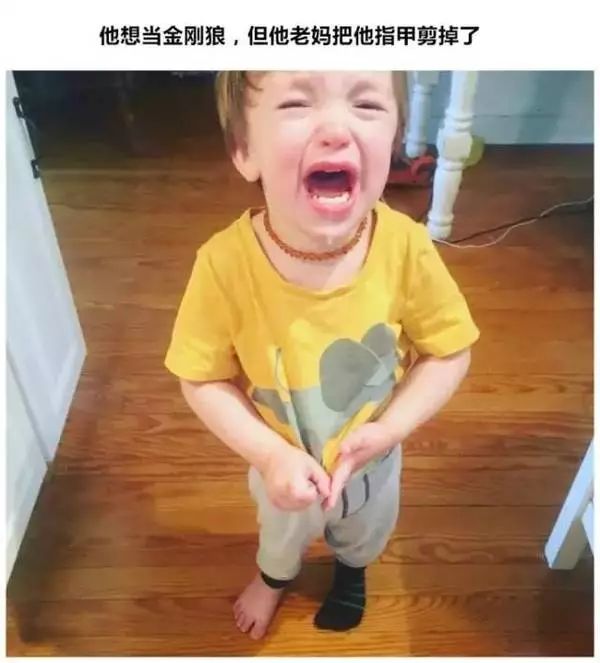 让人闻风丧胆的「可怕的两岁」，你需要这份保命指南573 / 作者:雨云儿 / 帖子ID:273510