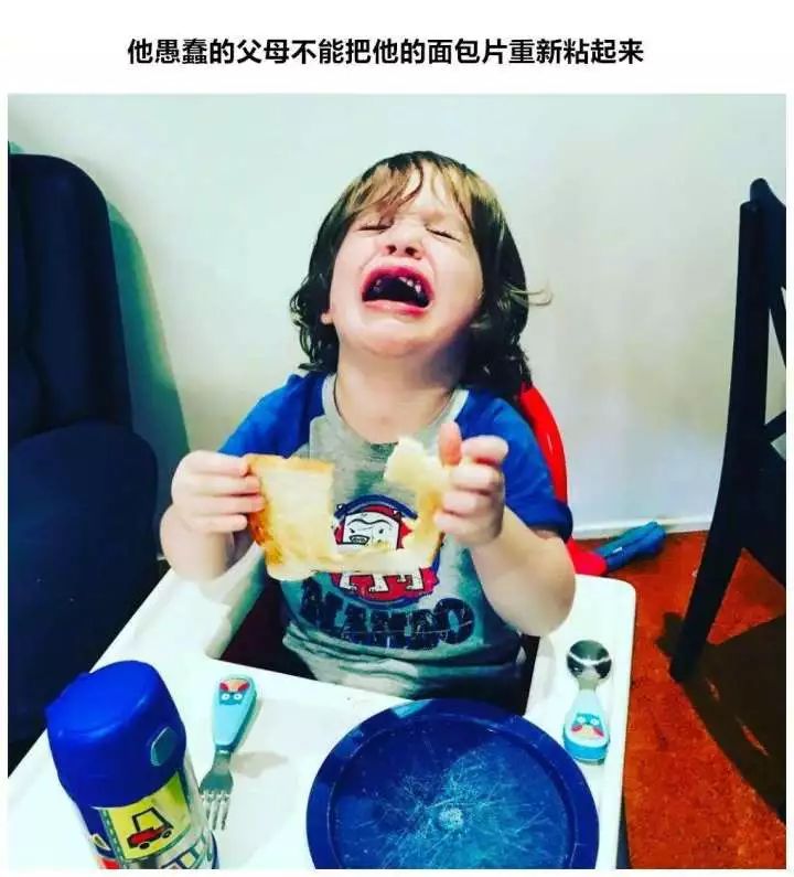 让人闻风丧胆的「可怕的两岁」，你需要这份保命指南784 / 作者:雨云儿 / 帖子ID:273510