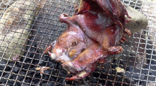 再见了，竹鼠！柳江区14万只竹鼠正式下架，每只补偿180元！674 / 作者:普通人物怨 / 帖子ID:273536