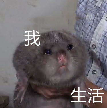 再见了，竹鼠！柳江区14万只竹鼠正式下架，每只补偿180元！913 / 作者:普通人物怨 / 帖子ID:273536