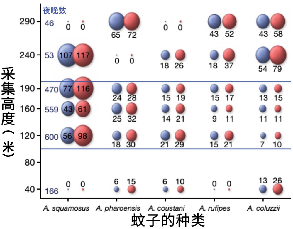 到底住几楼，才能没蚊子？278 / 作者:華大夫 / 帖子ID:273587
