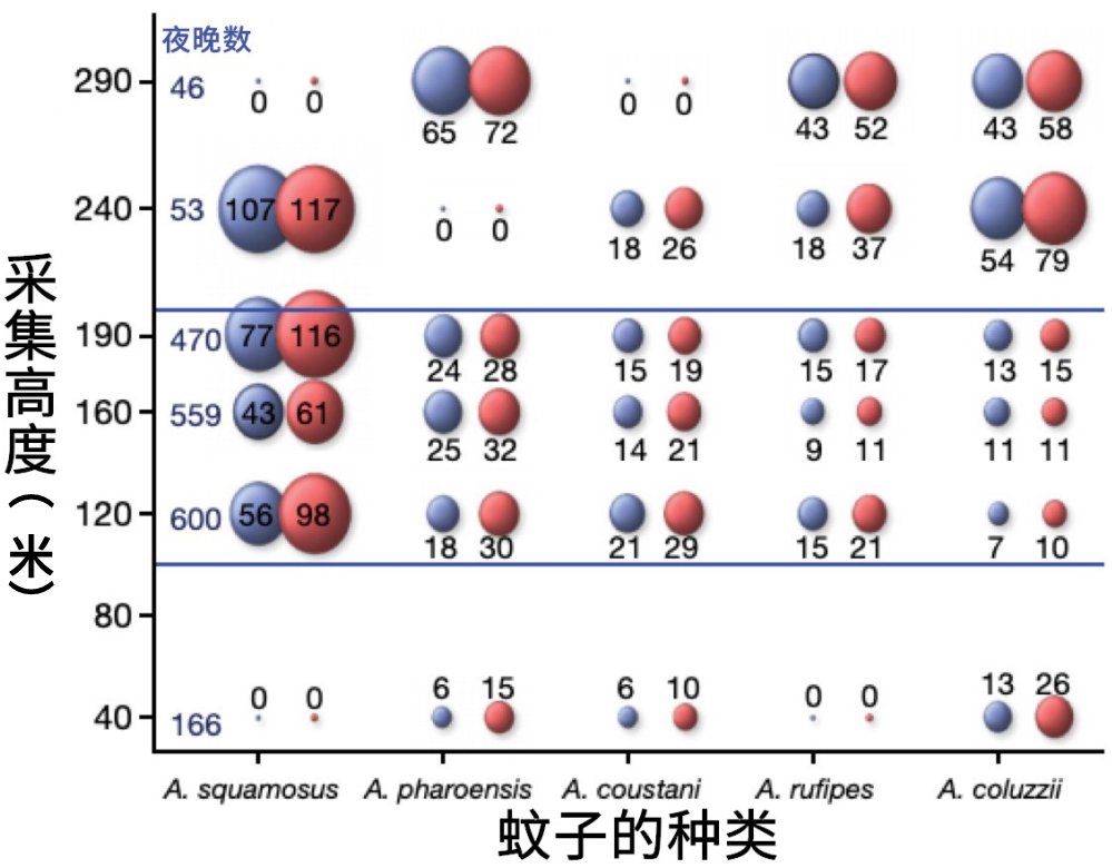 到底住几楼，才能没蚊子？652 / 作者:華大夫 / 帖子ID:273587