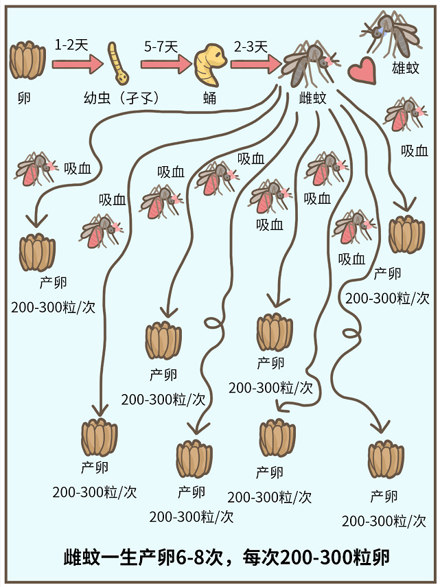 到底住几楼，才能没蚊子？745 / 作者:華大夫 / 帖子ID:273587