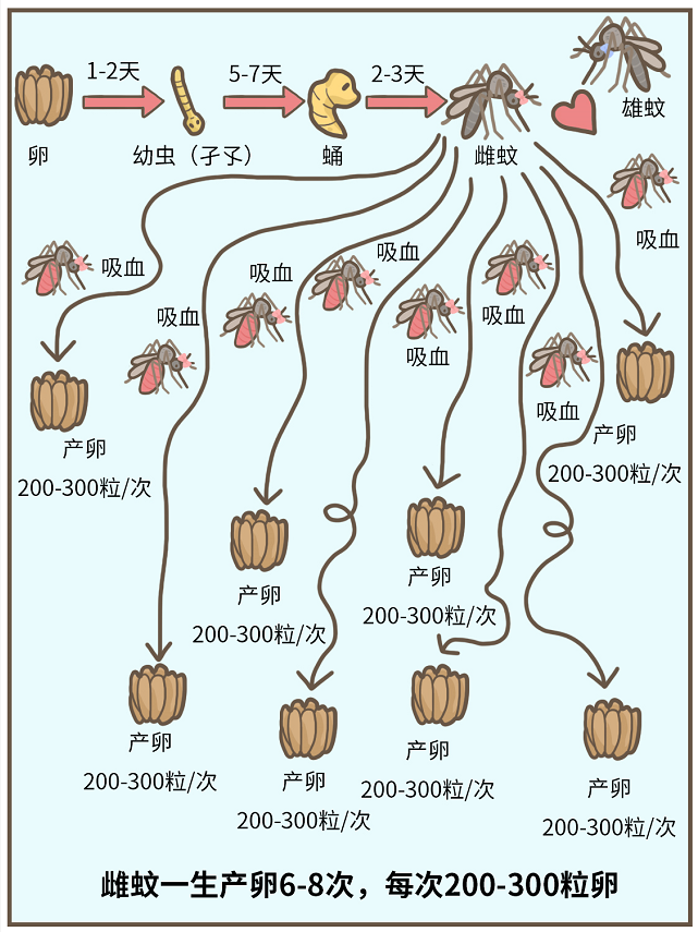 到底住几楼，才能没蚊子？167 / 作者:華大夫 / 帖子ID:273587