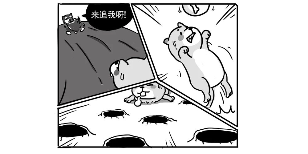 不想老了骨质疏松，补钙最好的时间是现在978 / 作者:YKJNzVqH / 帖子ID:273638