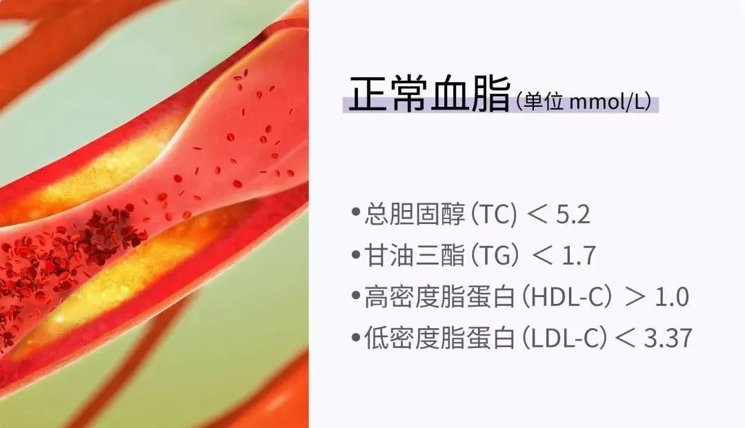 胖不胖不能只看体重！21 组数字，让你更了解身体状况729 / 作者:儿时的回忆 / 帖子ID:273806