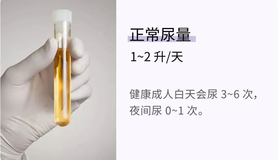 胖不胖不能只看体重！21 组数字，让你更了解身体状况894 / 作者:儿时的回忆 / 帖子ID:273806