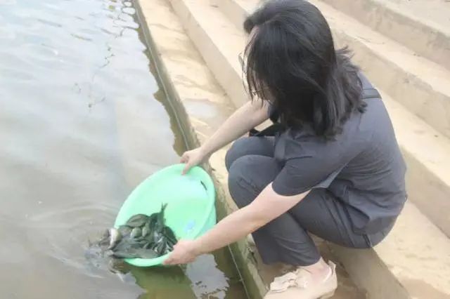 电鱼！恭城11个人领刑873 / 作者:普通人物怨 / 帖子ID:273966