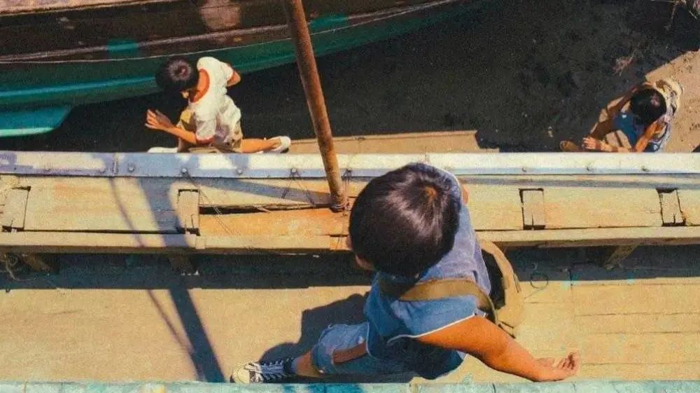 现实版《隐秘的角落》，未成年人犯罪谁背锅？537 / 作者:该做的事情 / 帖子ID:274045