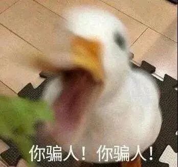 “高考前是祖宗，高考后对不起列祖列宗”897 / 作者:kevinbe888 / 帖子ID:274088