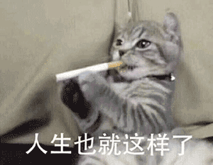 “高考前是祖宗，高考后对不起列祖列宗”73 / 作者:kevinbe888 / 帖子ID:274088