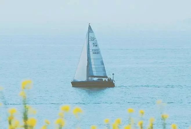 时间在哪里，就成为什么样的人81 / 作者:形腿望舞 / 帖子ID:274103