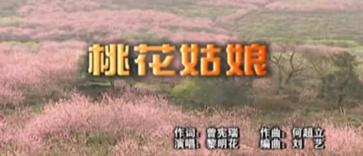 桃花姑娘--恭城瑶族自治县20周年县庆歌曲回顾791 / 作者:恭城盛唐广告 / 帖子ID:274110