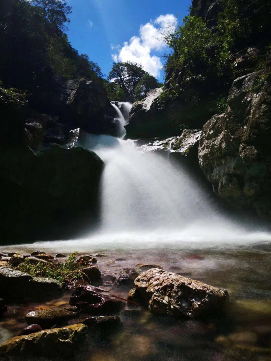 避暑胜地银殿山，今年有人克了没370 / 作者:李志敏 / 帖子ID:274167