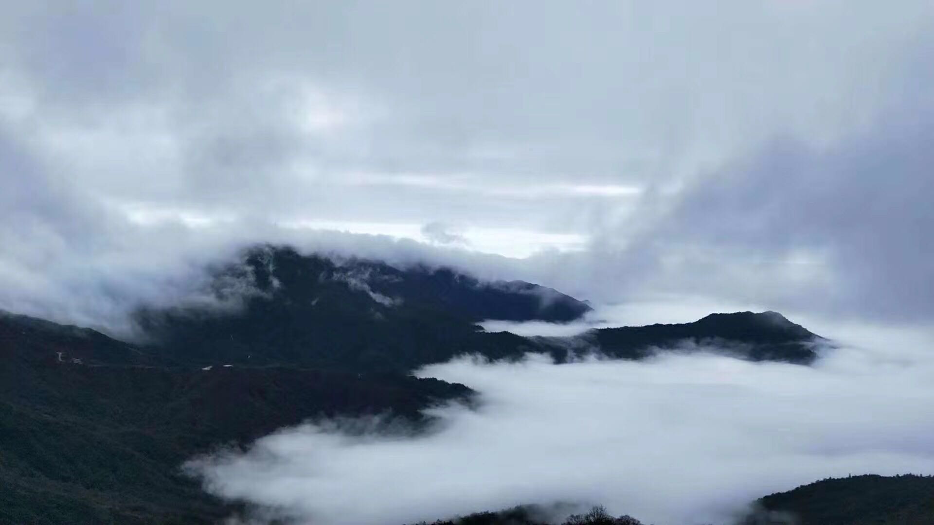 避暑胜地银殿山，今年有人克了没723 / 作者:李志敏 / 帖子ID:274167