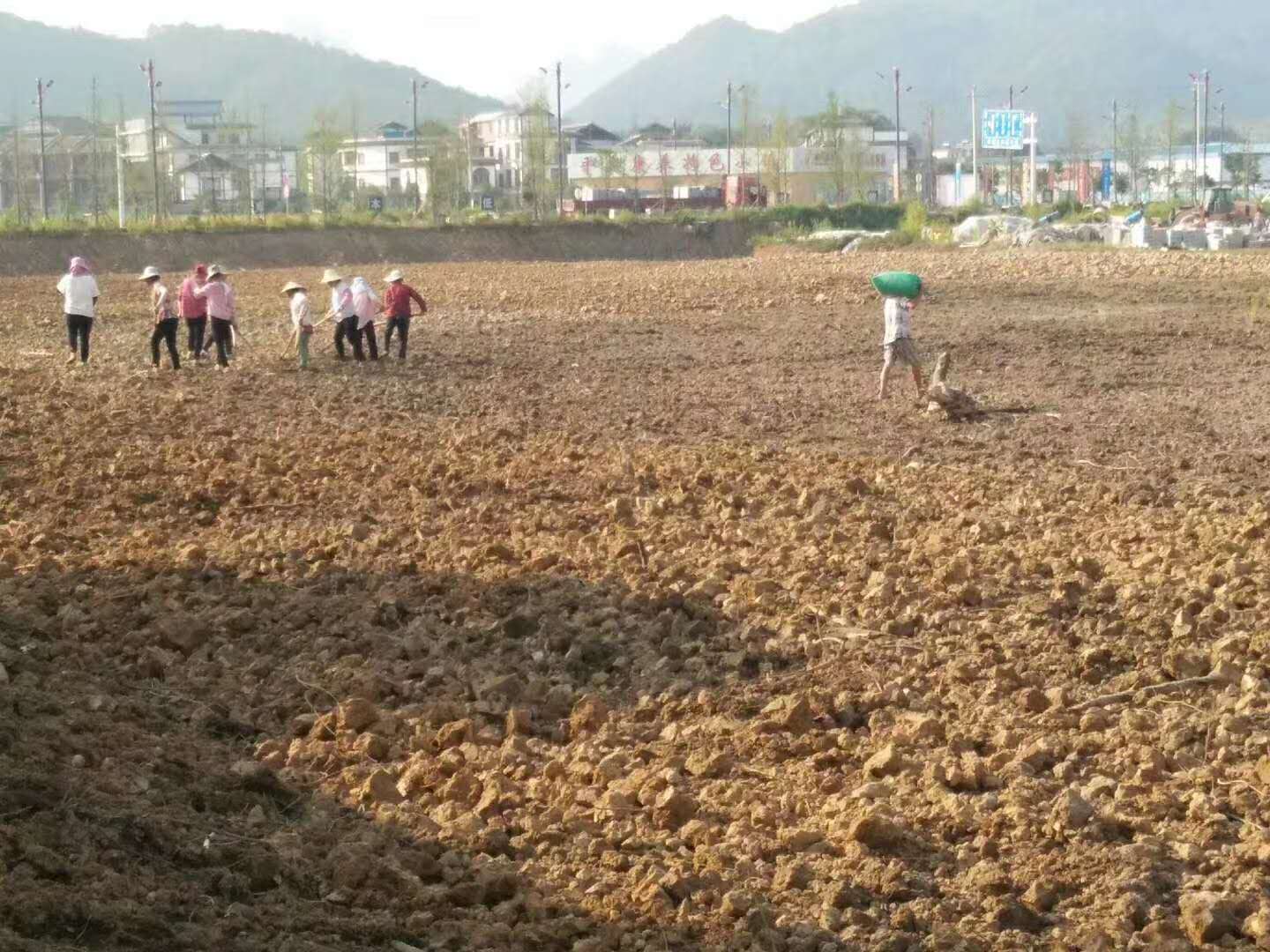 听说两个月后恭城高铁站前会有一片花海828 / 作者:小妖花满楼满fx / 帖子ID:274247