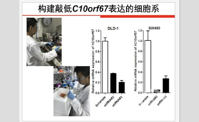 新华社调查：“神童”们的奖是怎么评出的？96 / 作者:登山涉水 / 帖子ID:274250