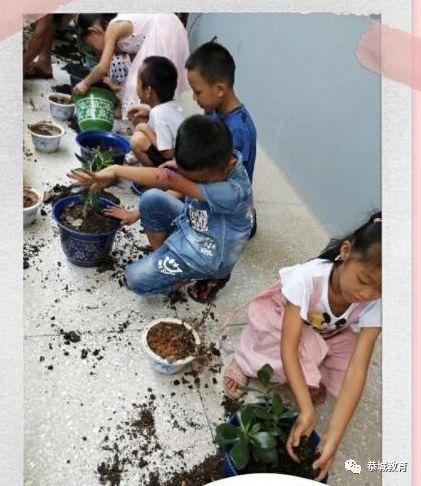 栽花种草 美丽校园992 / 作者:论坛小编04 / 帖子ID:274668