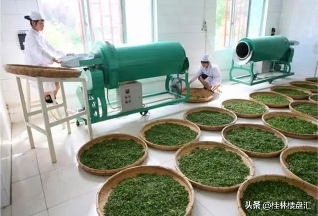 最新进度！恭城这个农业核心示范区要送审了，涉及多个村镇！337 / 作者:论坛小编01 / 帖子ID:274694