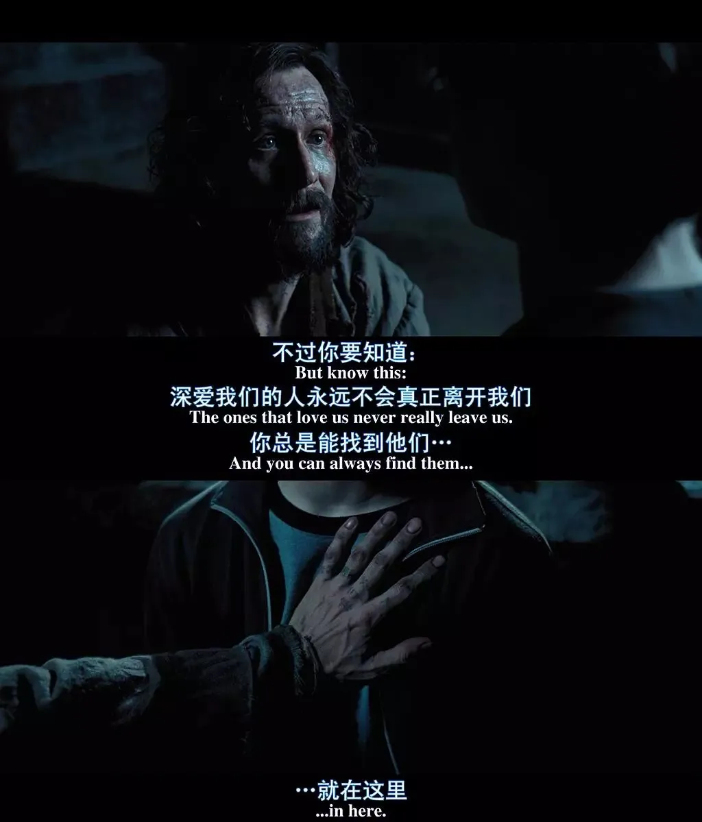哈利波特40岁了：有一种青春，叫霍格沃茨992 / 作者:该做的事情 / 帖子ID:274983