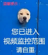 承包你一天的笑点56 / 作者:kevinbe888 / 帖子ID:275004