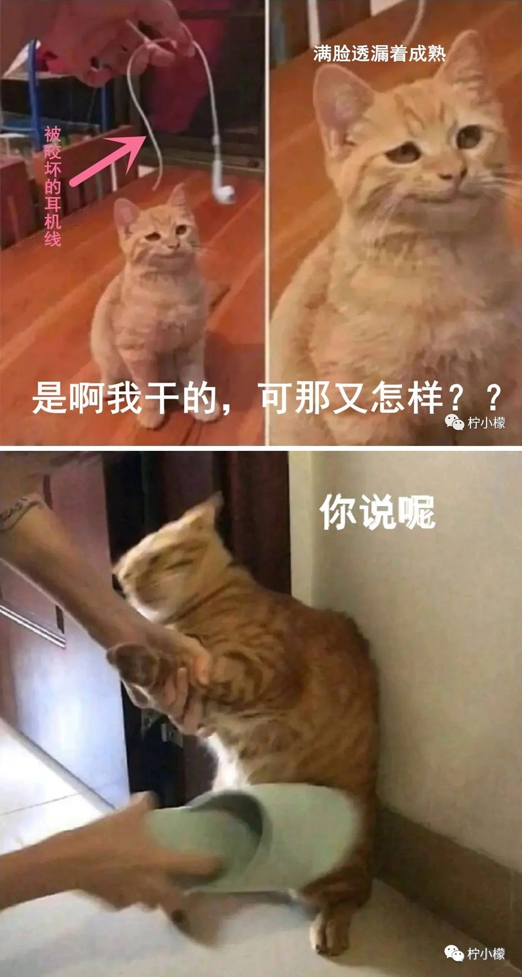 承包你一天的笑点654 / 作者:kevinbe888 / 帖子ID:275004