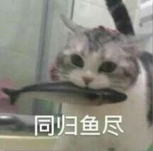 承包你一天的笑点108 / 作者:kevinbe888 / 帖子ID:275004