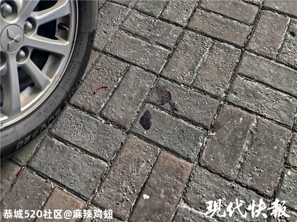痛心！南京江宁一4岁女孩不慎坠楼身亡379 / 作者:麻辣鸡翅 / 帖子ID:275247