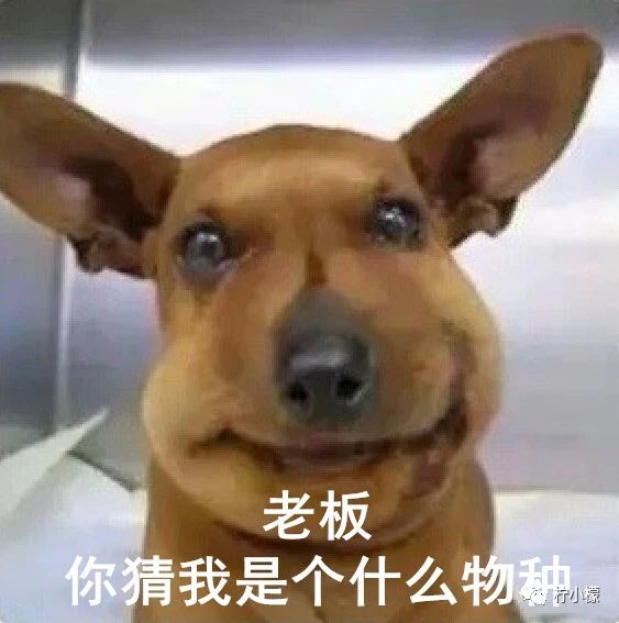 笑到窒息的朋友圈.....374 / 作者:kevinbe888 / 帖子ID:275307