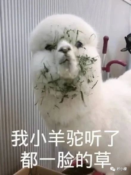 笑到窒息的朋友圈.....309 / 作者:kevinbe888 / 帖子ID:275307