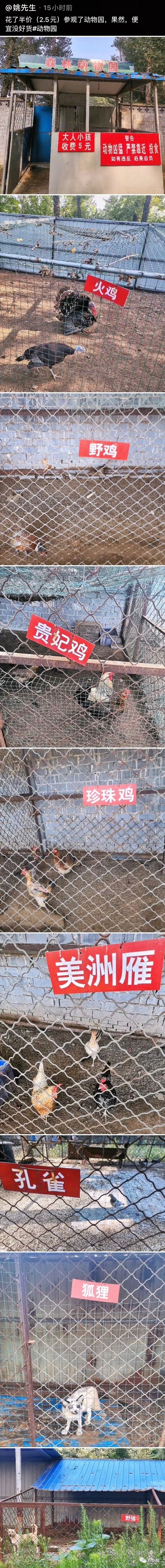 笑到窒息的朋友圈.....611 / 作者:kevinbe888 / 帖子ID:275307