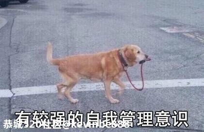 笑到窒息的朋友圈.....184 / 作者:kevinbe888 / 帖子ID:275307