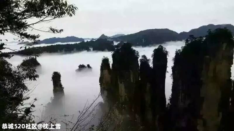 第一次去张家界必看的旅游攻略586 / 作者:枕上雪 / 帖子ID:268974