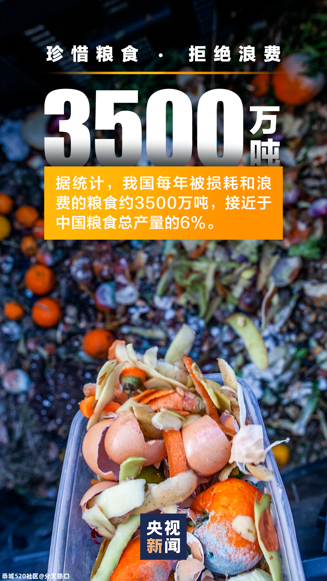 你浪费了多少粮食？这组数字，触目惊心！526 / 作者:分叉路口 / 帖子ID:275543