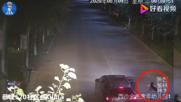 陕西神木一高中生凌晨醉躺路面昏睡，遭醉驾司机碾压身亡578 / 作者:Killua / 帖子ID:275550