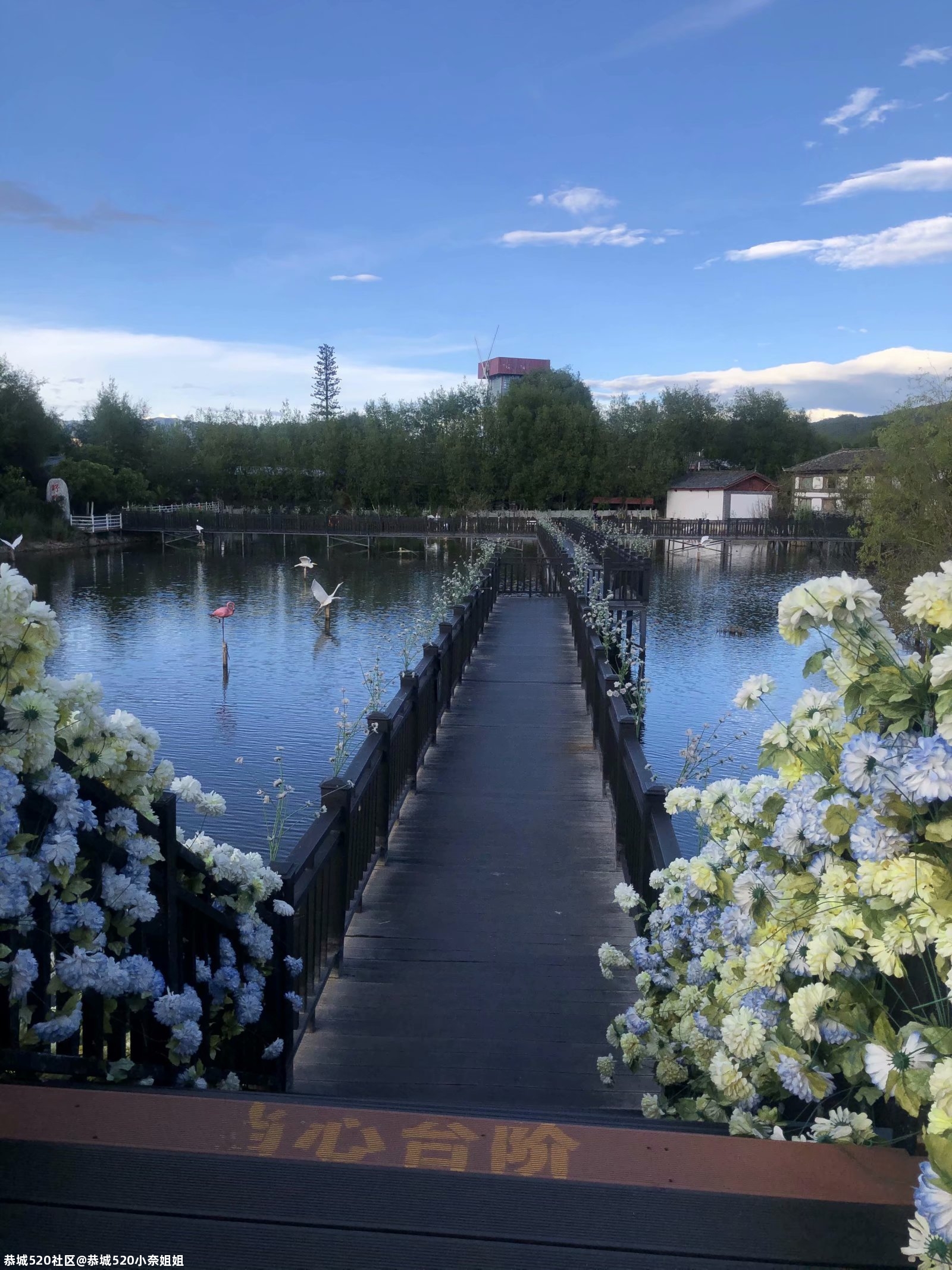 打卡云南拉市海523 / 作者:恭城520小奈姐姐 / 帖子ID:275639
