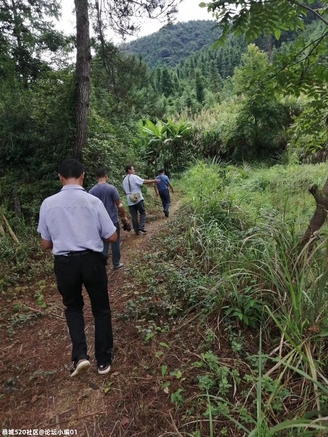 湘桂两省基层党支部在江永千家峒交流学习928 / 作者:论坛小编01 / 帖子ID:275643