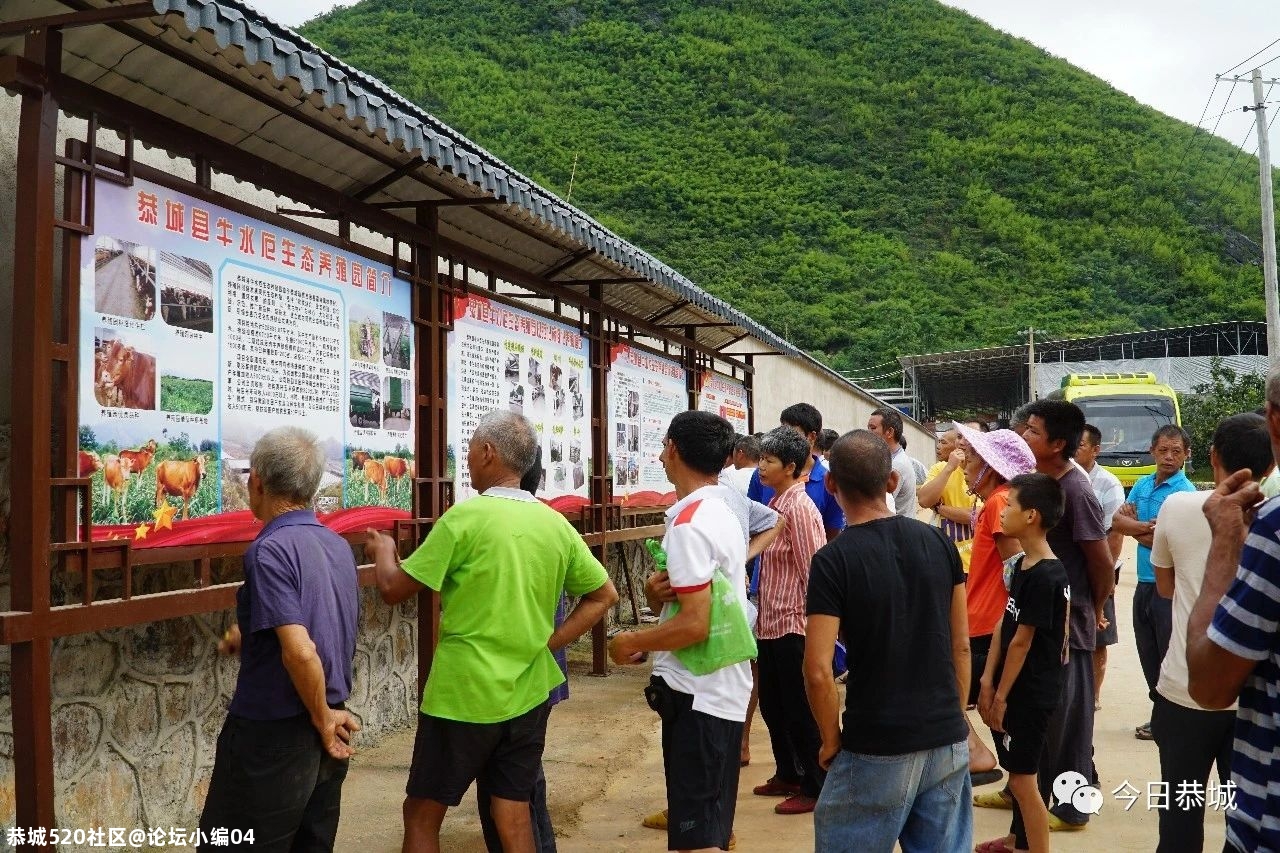 嘉会镇：发展肉牛养殖产业 助推脱贫攻坚349 / 作者:论坛小编04 / 帖子ID:275677