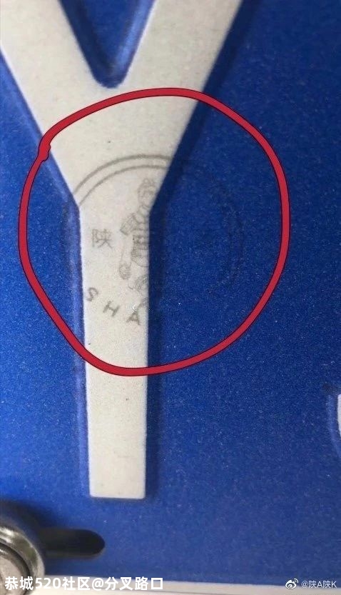 意外发现！车牌上有个小秘密，全国网友都激动了141 / 作者:分叉路口 / 帖子ID:275702