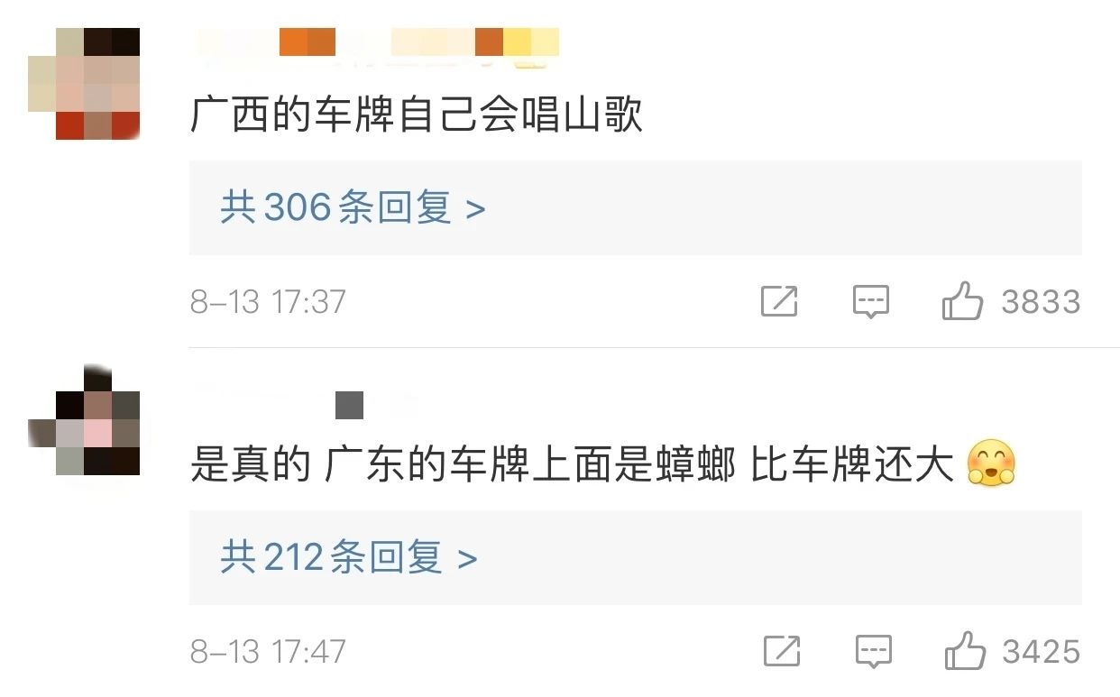 意外发现！车牌上有个小秘密，全国网友都激动了108 / 作者:分叉路口 / 帖子ID:275702