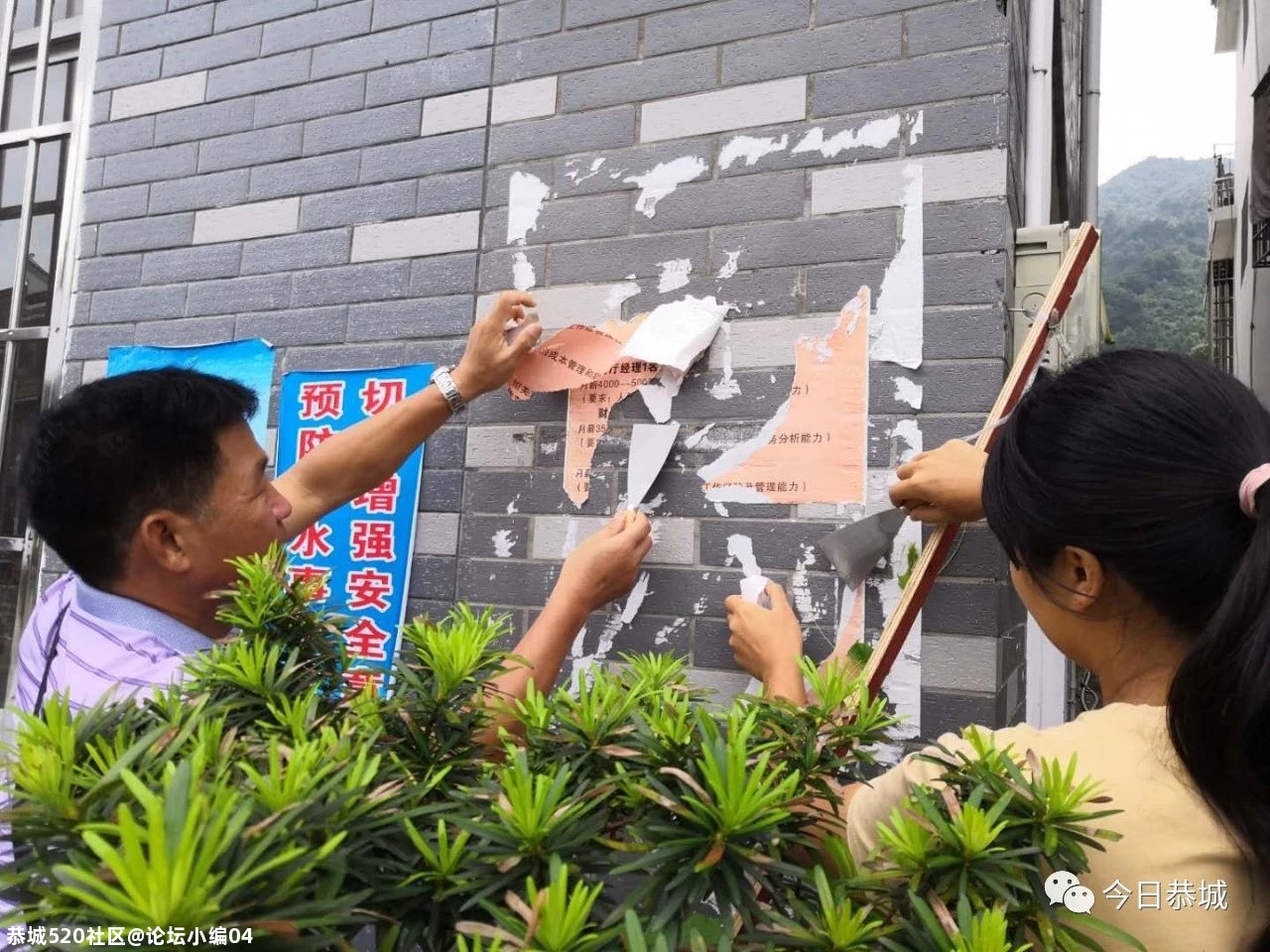 官宣：龙虎乡荣获国家卫生乡镇称号326 / 作者:论坛小编04 / 帖子ID:275727
