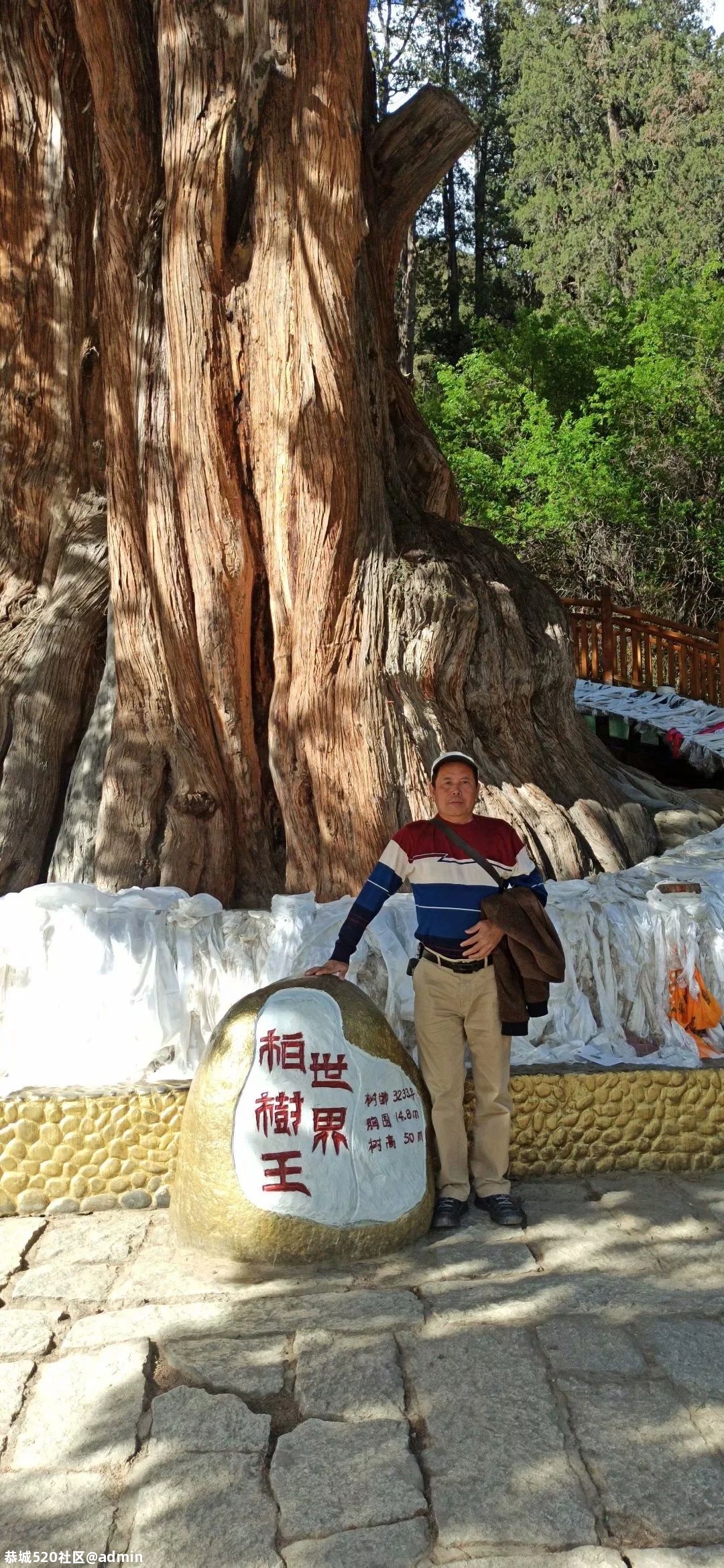 想去西藏的朋友看过来：《我的西藏自驾游记》84 / 作者:罗古 / 帖子ID:275846