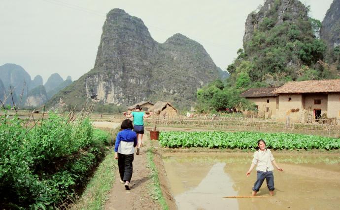 1989年桂林摄影955 / 作者:油茶莫加炒米 / 帖子ID:275946