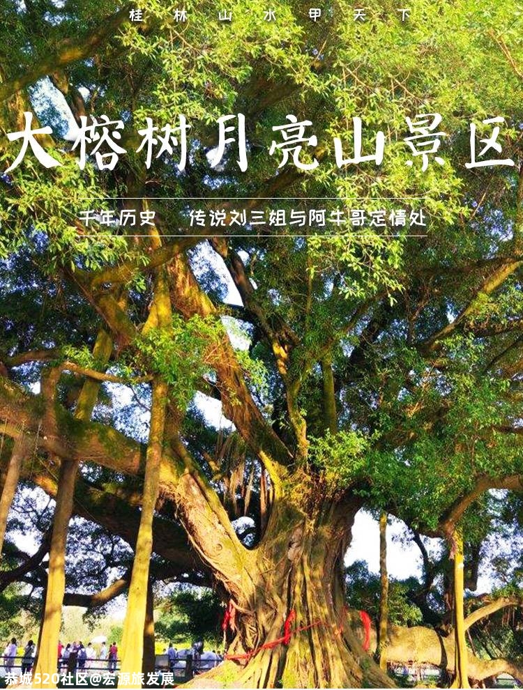 大榕树+月亮山+月缘《月亮女神》演艺全票662 / 作者:宏源旅发展 / 帖子ID:275970
