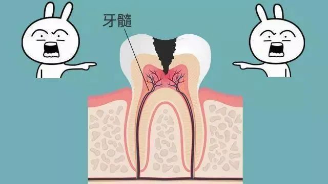 大部分中国人都有的口腔问题，越早治疗越省钱581 / 作者:等风十里 / 帖子ID:276013