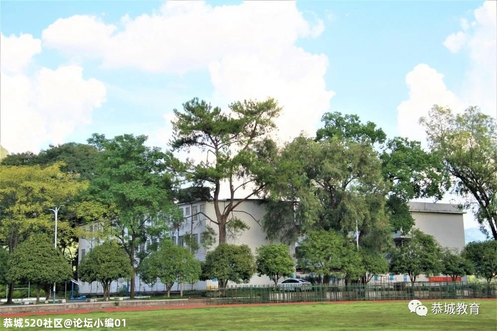 办好一所学校，造福一方百姓：县领导深入基层学校检查指导学校工作894 / 作者:论坛小编01 / 帖子ID:276174