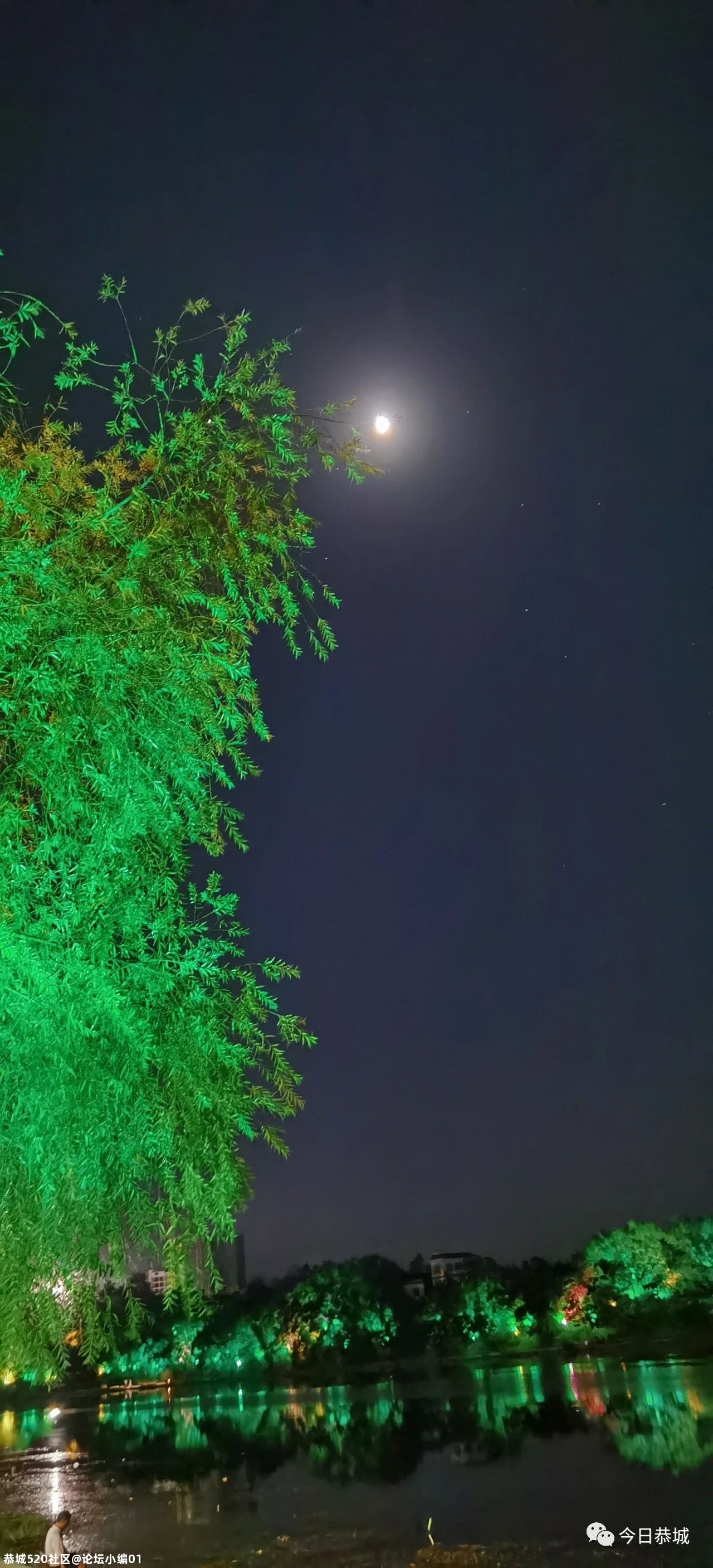 茶江畔“夺目”夜景为30年县庆绽放异彩178 / 作者:论坛小编01 / 帖子ID:276241